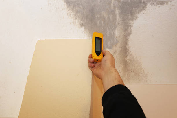 Best Mold Prevention Services  in Clemmons, NC