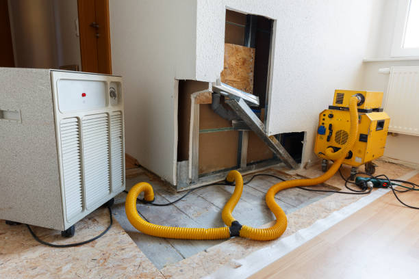 Best Mold Removal for HVAC Installations  in Clemmons, NC